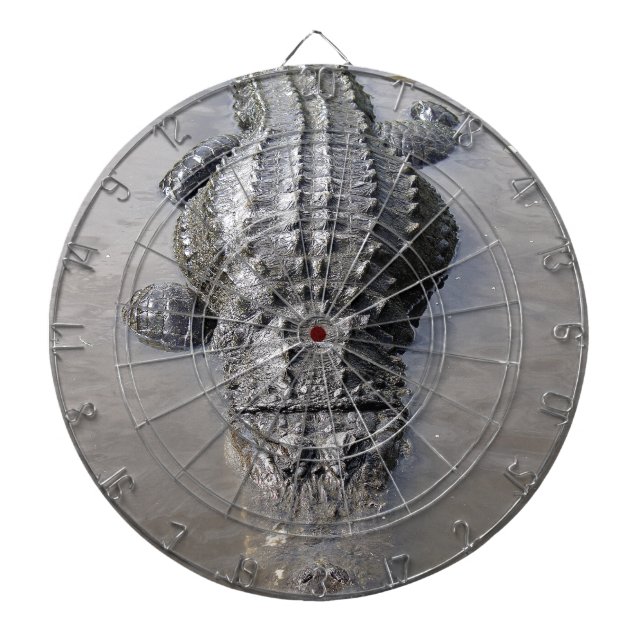 Alligator Dart Board (Front)
