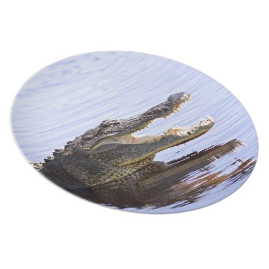 Alligator Dinner Plate (Right Side)