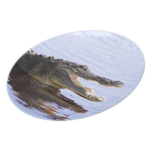 Alligator Dinner Plate (Left Side)