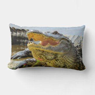 Alligator. Face to face