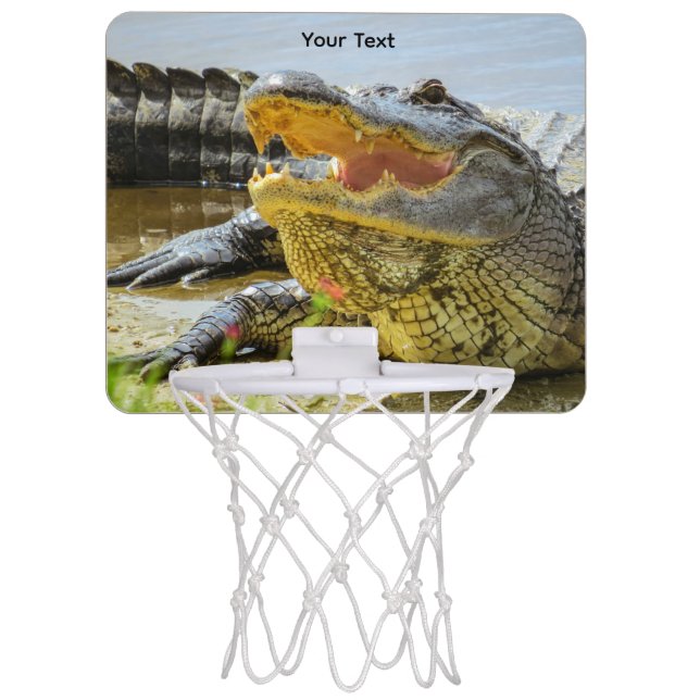Alligator. Face to face Mini Basketball Hoop (Front)