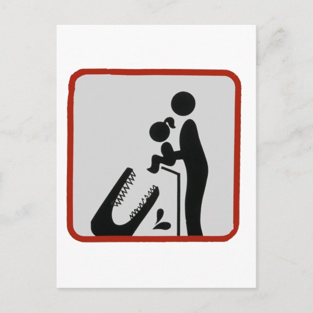 Alligator Feeding Time Postcard (Front)