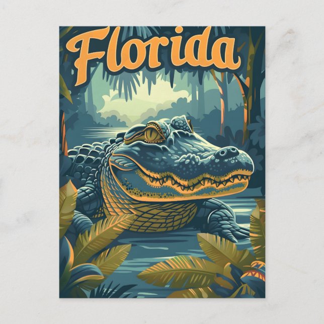 Alligator Florida Everglades  Postcard (Front)
