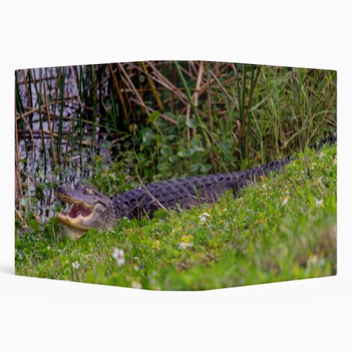 Alligator Florida Viera Wetlands Photo 3 Ring Binder