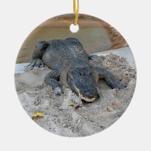 Alligator Fort Lauderdale Florida Ceramic Ornament
