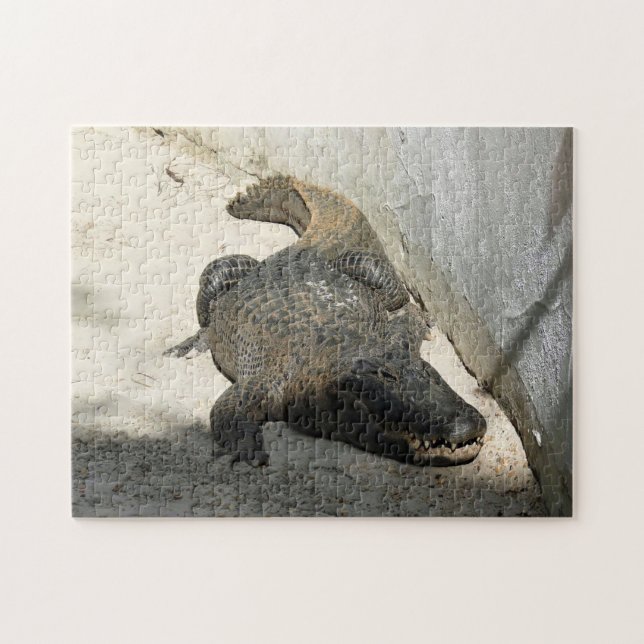 Alligator, Fort Lauderdale, Florida Jigsaw Puzzle (Horizontal)