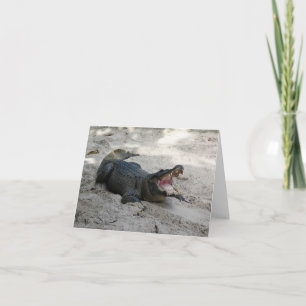 Alligator, Fort Lauderdale, Florida Thank You Card
