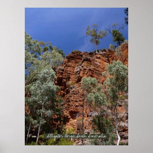 Alligator gorges red piling rocks poster