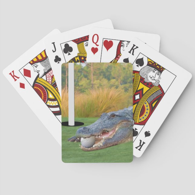 Alligator, Hazardous Lie in Golf Poker Cards (Back)