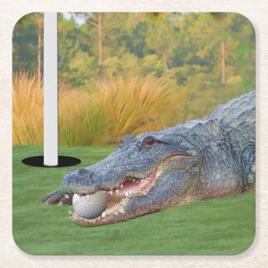 Alligator, Hazardous Lie on Golf Course Square Paper Coaster
