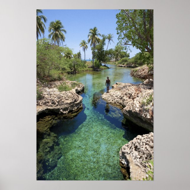 Alligator Hole, Black River Town, Jamaica Poster (Front)