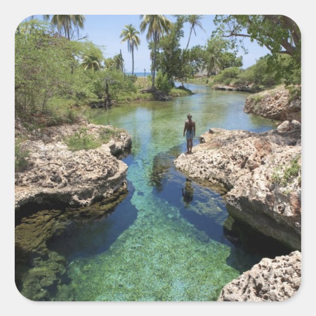 Alligator Hole, Black River Town, Jamaica Square Sticker (Front)