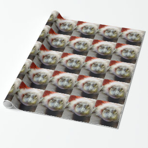 Alligator Holiday Products Wrapping Paper