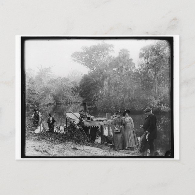 Alligator Hunting, Tomoka River, Florida 1880-1897 Postcard (Front)