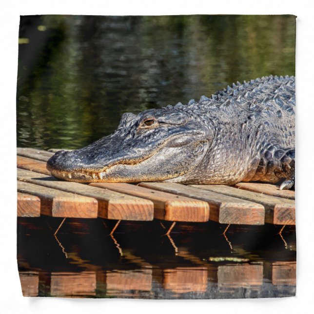 Alligator in Florida Bandana (Front)