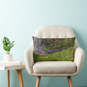 Alligator in Florida Wetlands Grass Lumbar Pillow
