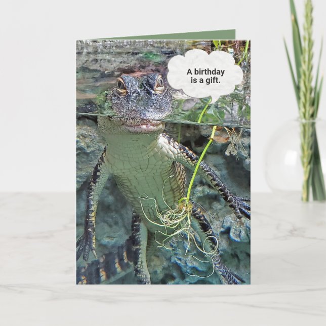 alligator in pond water birthday humor card (Front)