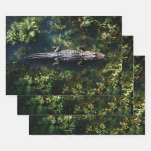 Alligator in Shallow Wetland Water Wrapping Paper Sheets