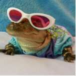 Alligator In Sunglasses Sculpture<br><div class="desc">my gator Penny</div>