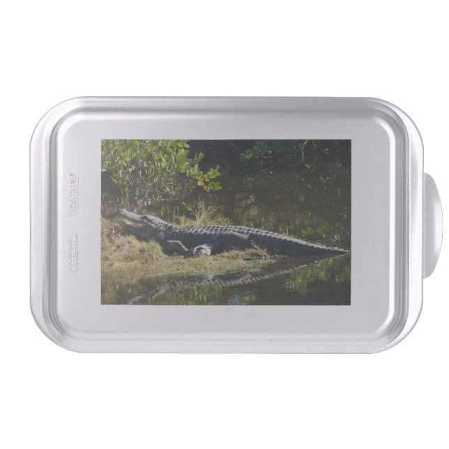 Alligator in the Sun Cake Pan (Front)