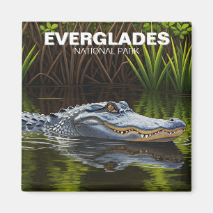 Alligator in Water Everglades National Park  Magnet