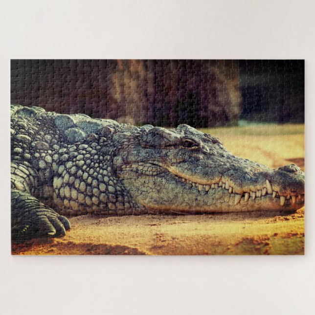 Alligator Jigsaw Puzzle (Horizontal)