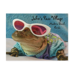 Alligator John's Pass Maderia Beach Post Card