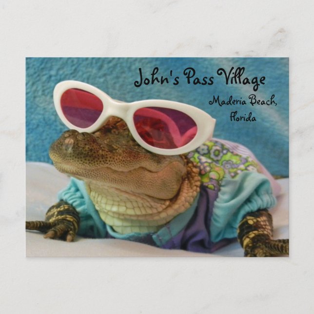 Alligator John's Pass Maderia Beach Post Card (Front)