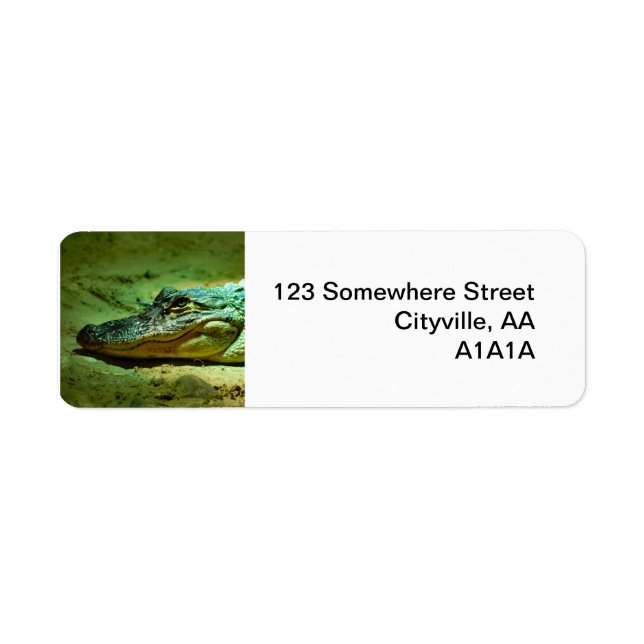 Alligator Label (Front)