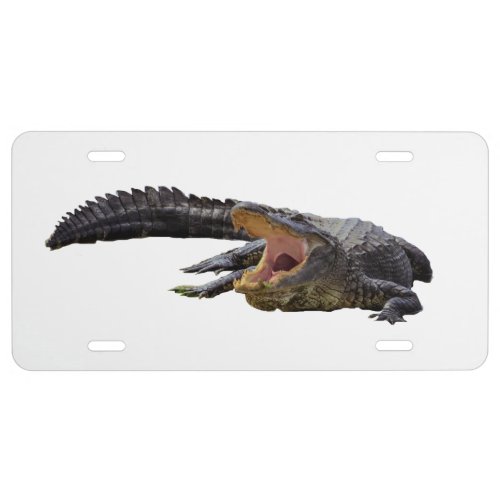 Alligator License Plate