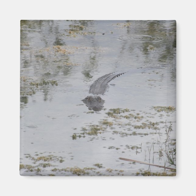 Alligator Magnet (Front)