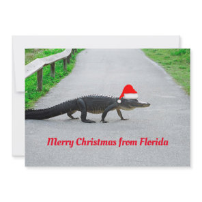 Alligator Merry Christmas from Florida funny Card