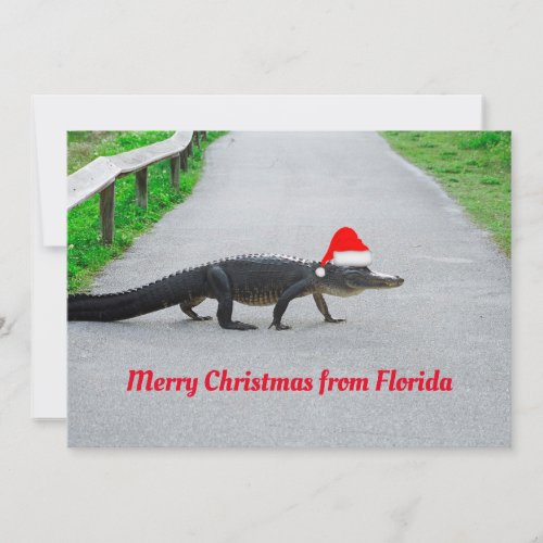 Alligator Merry Christmas from Florida funny Card