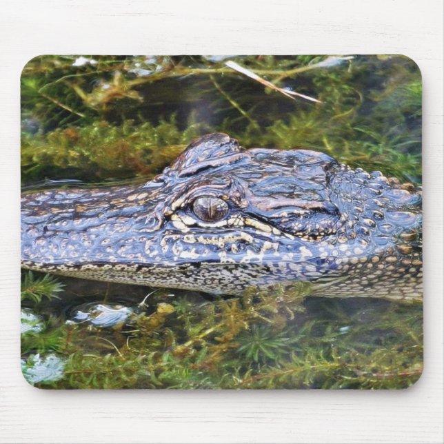 Alligator Mouse Pad (Front)