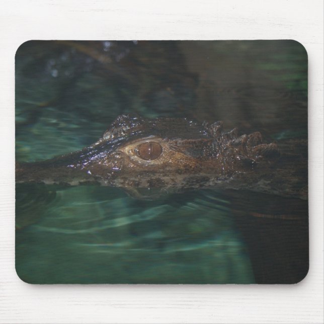 Alligator Mousepad (Front)