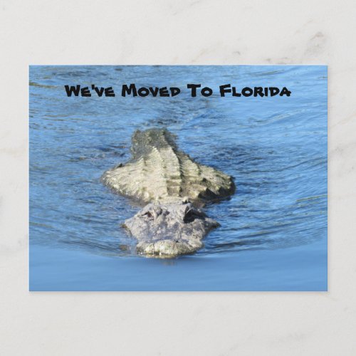 Alligator Moved to Florida _ New Address Post Card