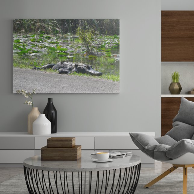 Alligator on Alligator Alley, Fl Poster (Creator Uploaded)