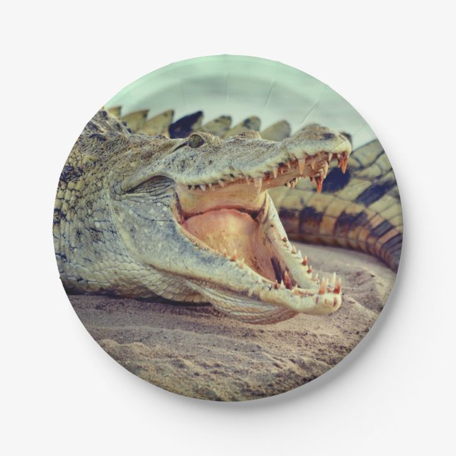 Alligator Paper Plates (Front)