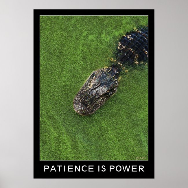 Alligator • Patience is Power • 20x28 Inspiration