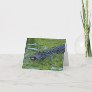 Alligator Photo Folded Note Card