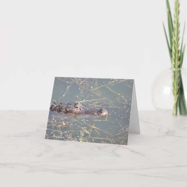 Alligator Photo Folded Note Card (Front)