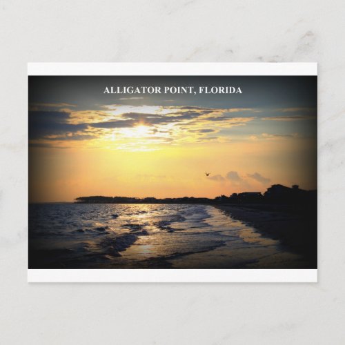 ALLIGATOR POINT FLORIDA POSTCARD