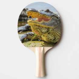 Alligator portrait. Florida alligators Ping Pong Paddle