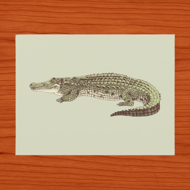 Alligator Postcard (Creator Uploaded)