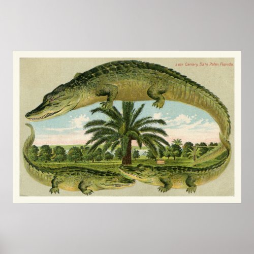Alligator Print 1