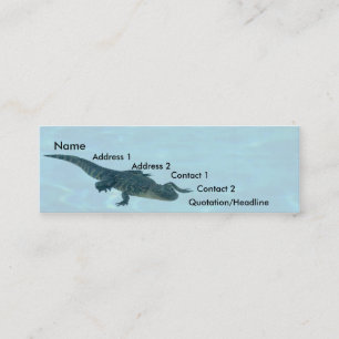 Alligator Profile Card