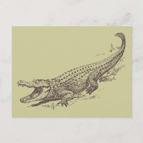 Alligator Realistic Illustration Postcard