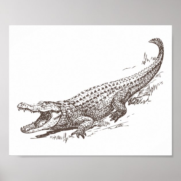 How to Draw a Crocodile (Step by Step Pictures) | Drawings, Vbs crafts, Draw
