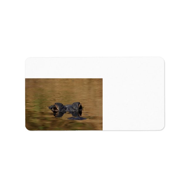 Alligator Reflections Label (Front)