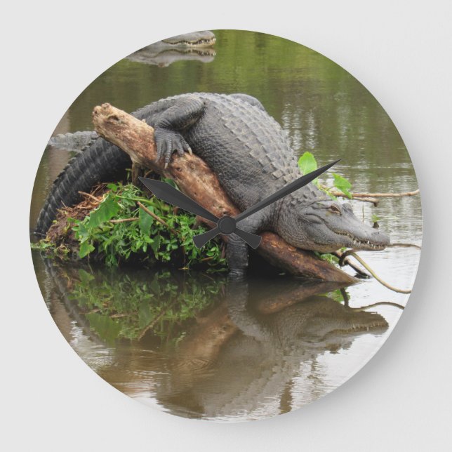 Alligator - Reflections of Time - Wall Clock (Front)